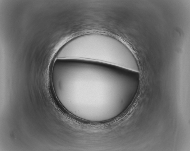 X0000113740008200909230955