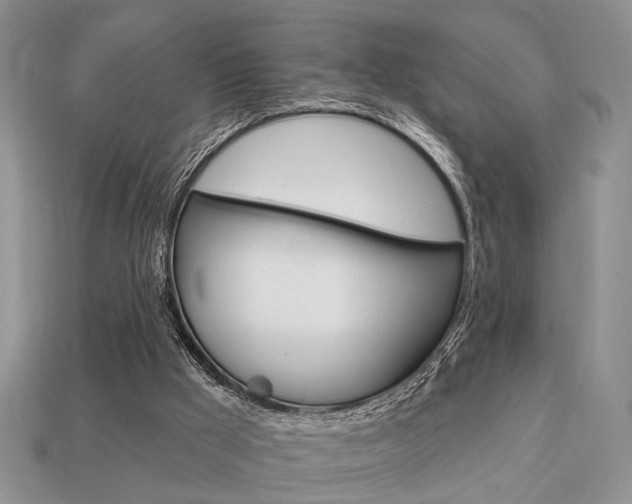 X0000113740009200909230955