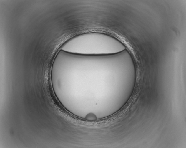 X0000113740010200909230955