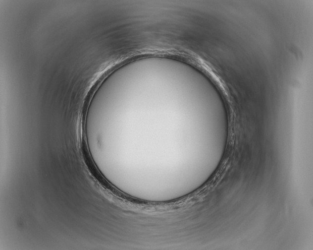 X0000113740011200909230955