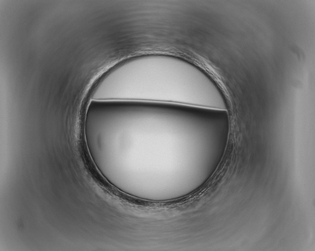 X0000113740012200909230955