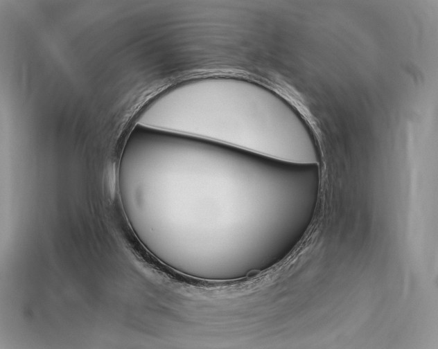 X0000113740013200909230955