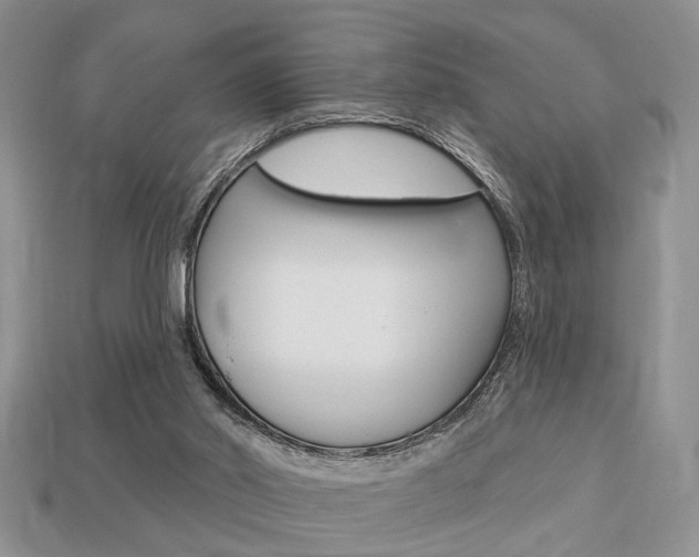 X0000113740014200909230955