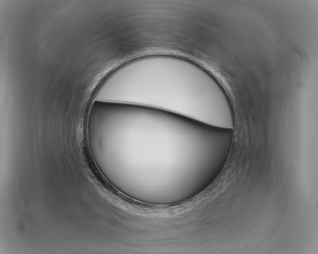 X0000113740015200909230955