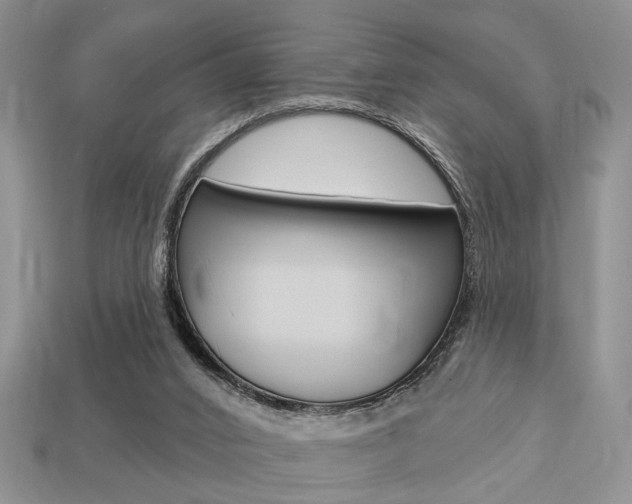 X0000113740016200909230955