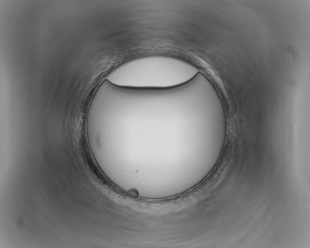 X0000113740018200909230955