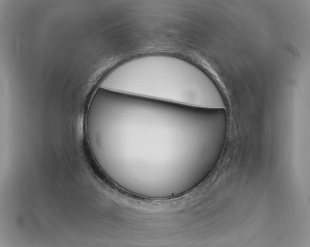 X0000113740019200909230955