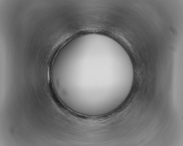 X0000113740020200909230955
