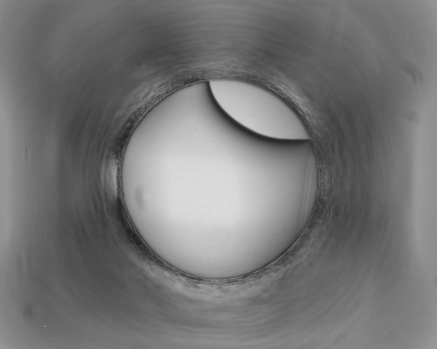 X0000113740022200909230955