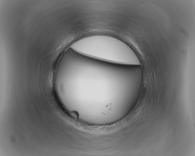 X0000113740023200909230955