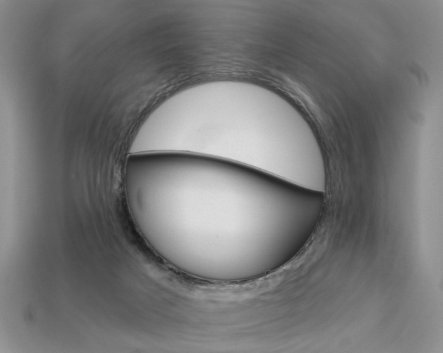 X0000113740025200909230955