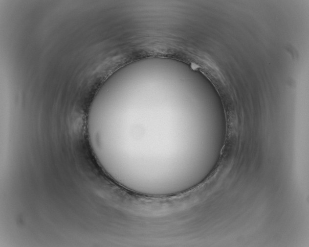 X0000113740029200909230954