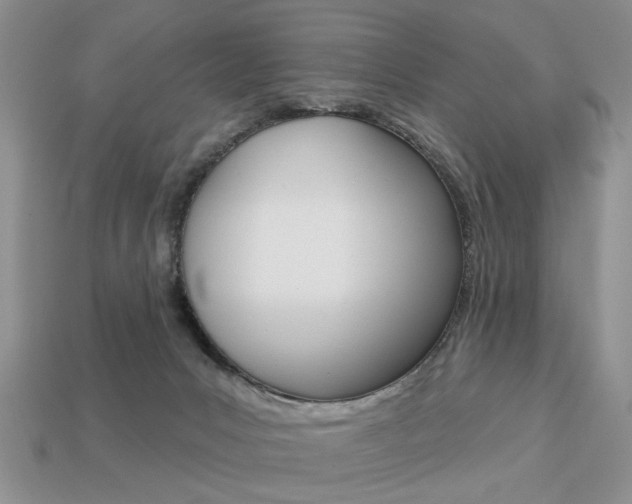 X0000113740031200909230954
