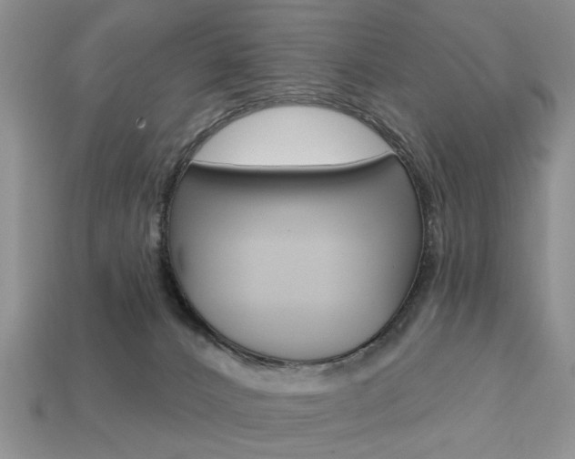 X0000113740032200909230954