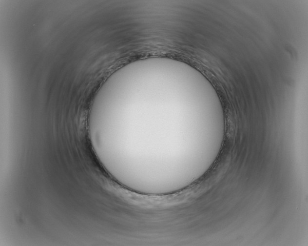 X0000113740034200909230954