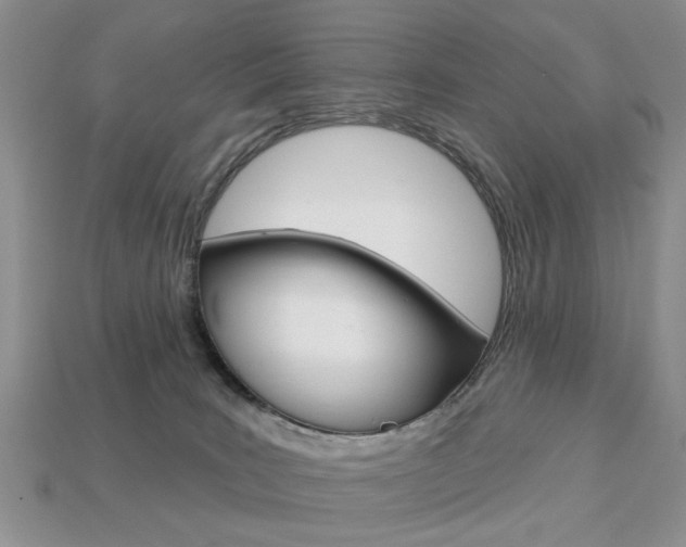 X0000113740035200909230954