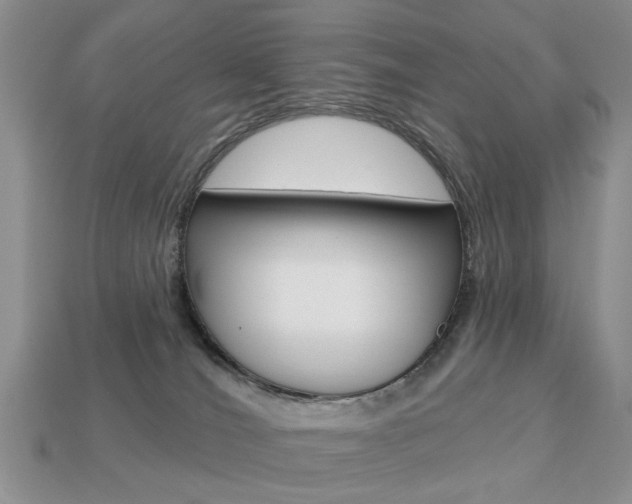X0000113740036200909230954