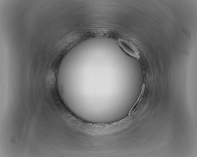 X0000113740037200909230954