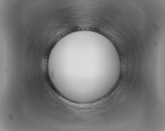 X0000113740038200909230954