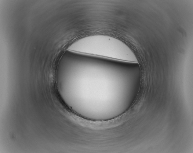 X0000113740039200909230954