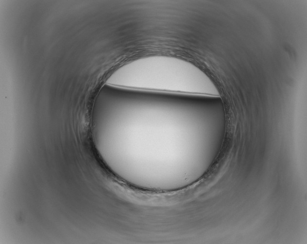 X0000113740040200909230954