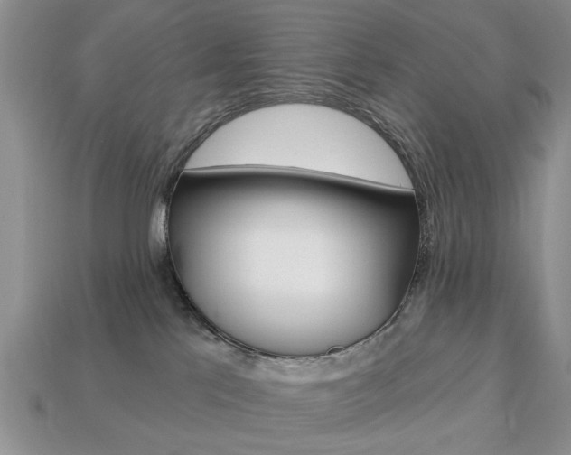 X0000113740041200909230954