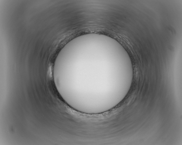 X0000113740042200909230954