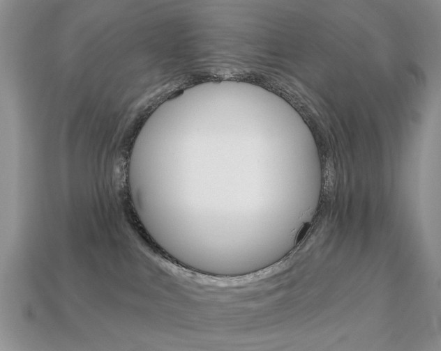 X0000113740043200909230954
