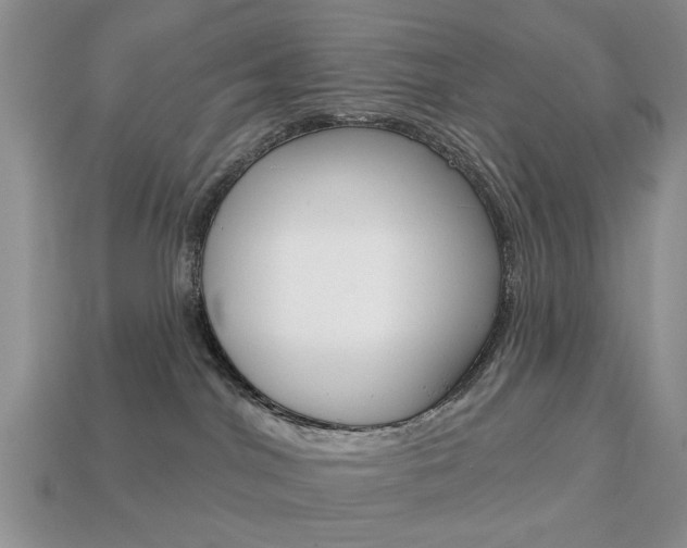 X0000113740044200909230954