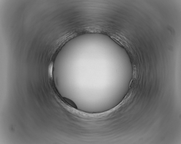 X0000113740047200909230954
