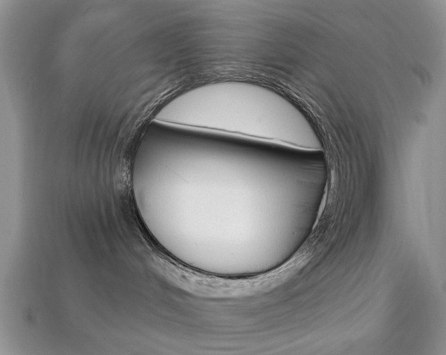 X0000113740048200909230954