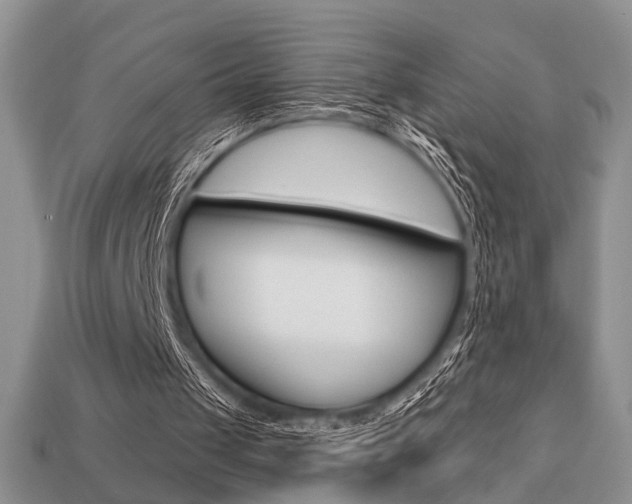 X0000113740049200909230954