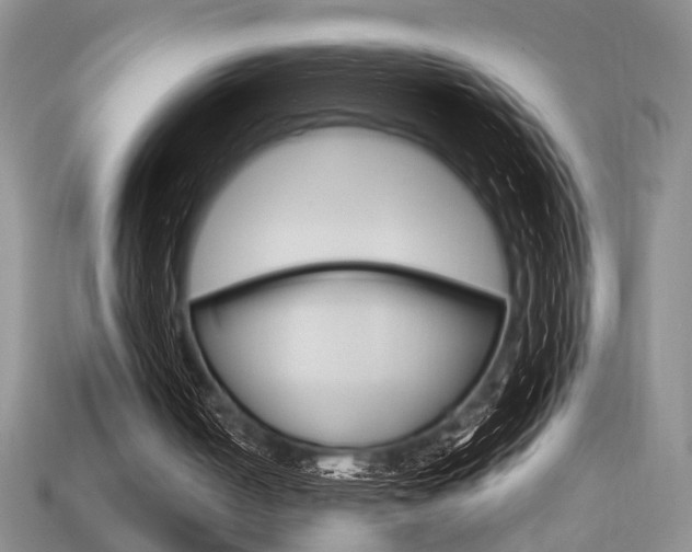 X0000113740050200909230954