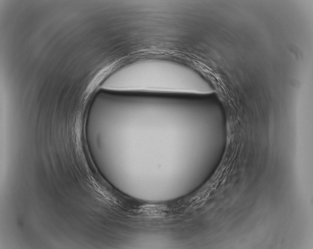 X0000113740051200909230954