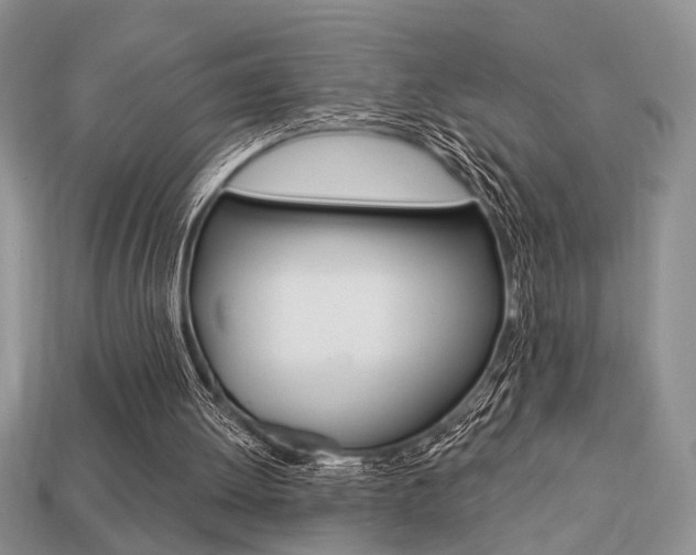 X0000113740052200909230954