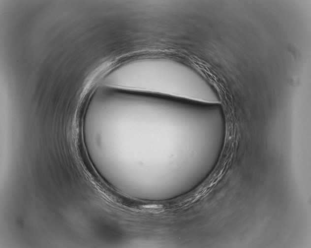 X0000113740053200909230954