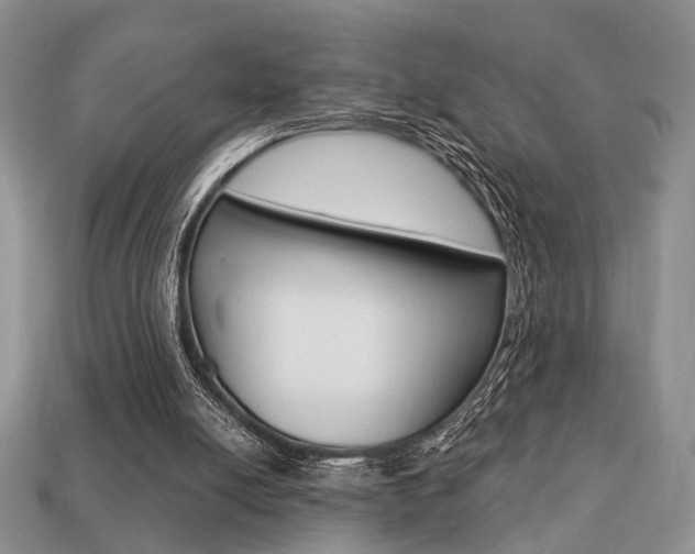 X0000113740054200909230954
