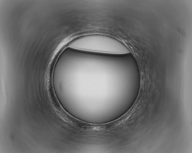 X0000113740056200909230954