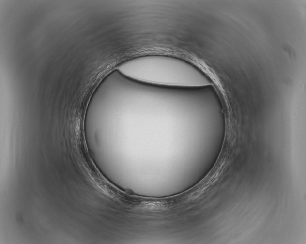 X0000113740057200909230954