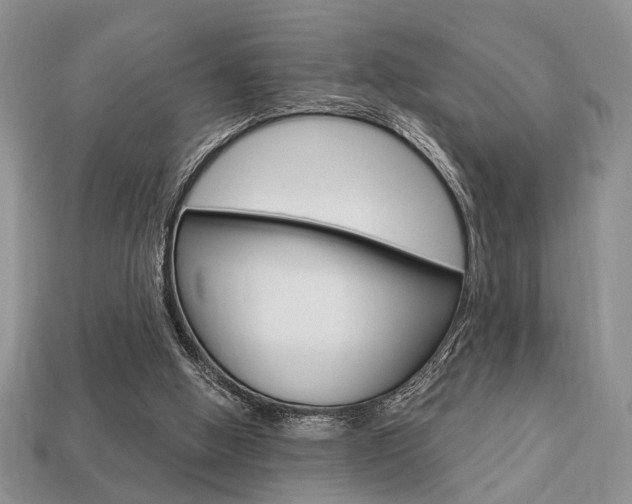 X0000113740058200909230954