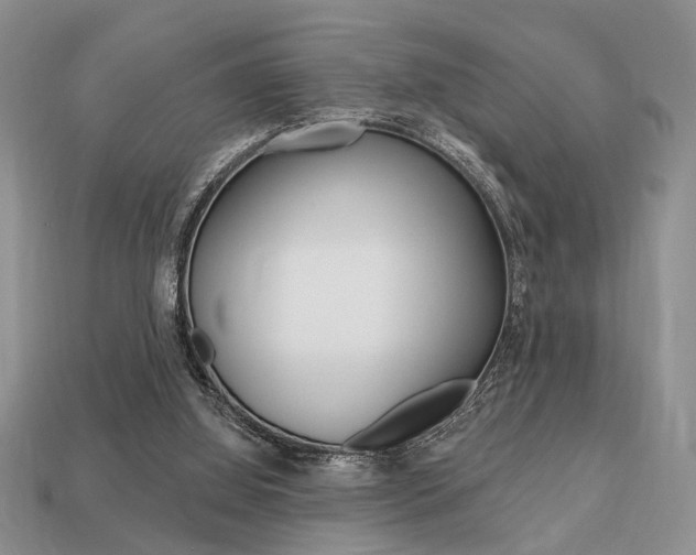X0000113740060200909230954