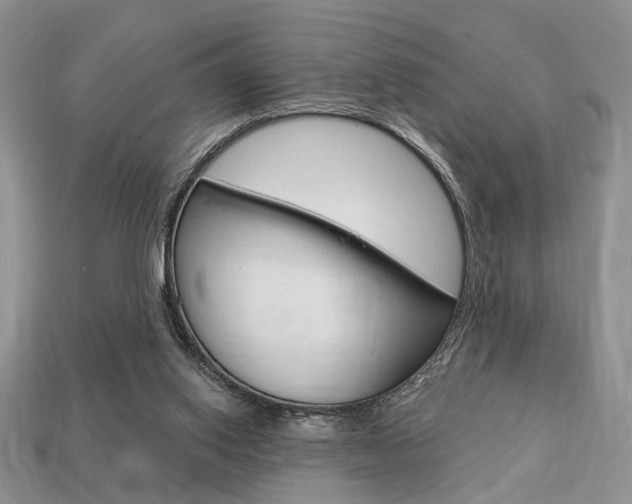 X0000113740062200909230954