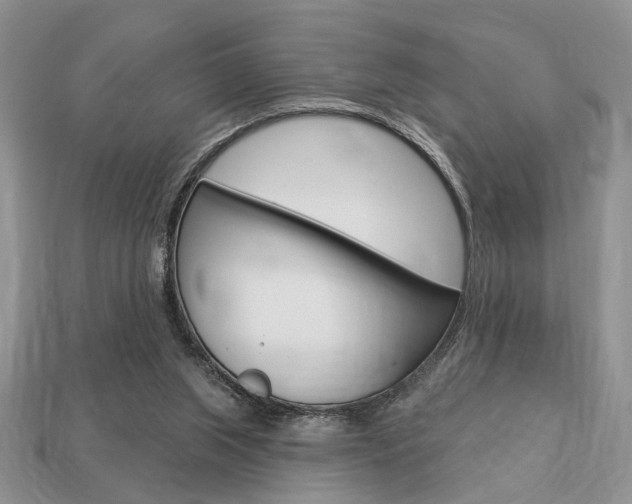 X0000113740063200909230954