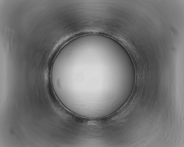 X0000113740064200909230954
