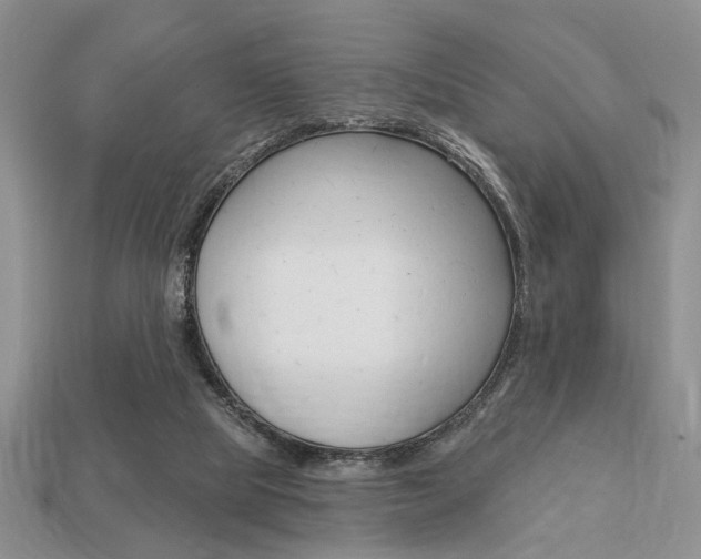 X0000113740065200909230954