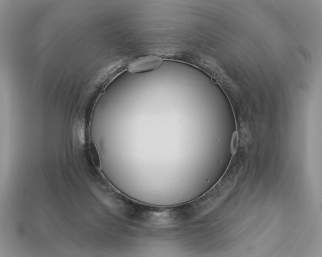 X0000113740068200909230954