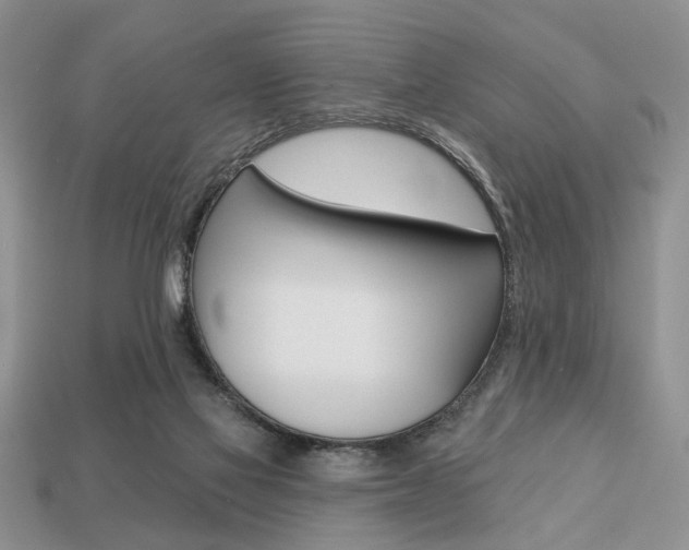 X0000113740069200909230954