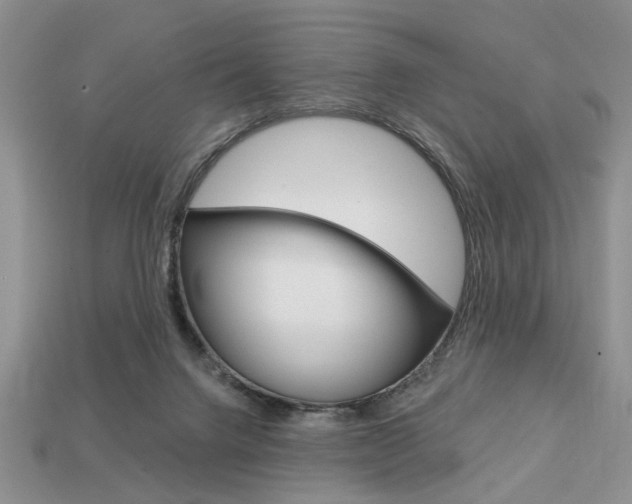 X0000113740072200909230954