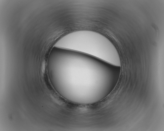 X0000113740076200909230954