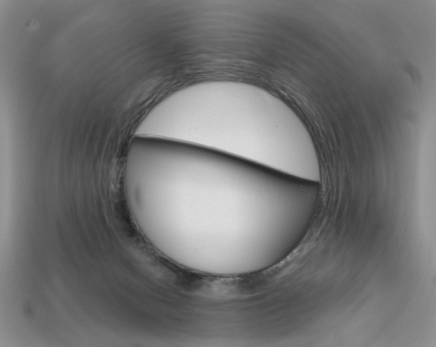 X0000113740078200909230954